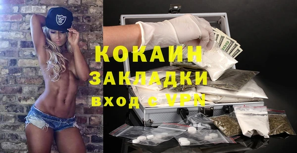 гидра Верея