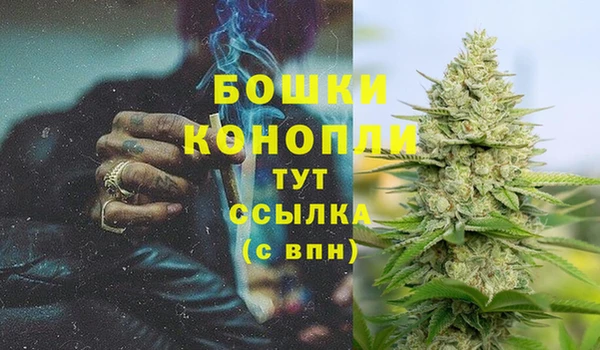 гидра Верея