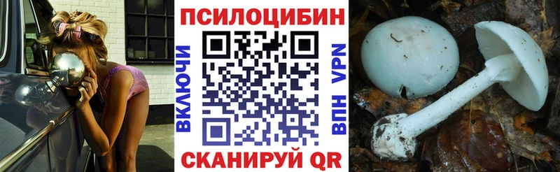Псилоцибиновые грибы Psilocybine cubensis  МЕГА зеркало  Губкинский  купить наркотики цена 